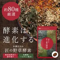 在飛比找Yahoo!奇摩拍賣優惠-日本原裝 匠の野草酵素 80種野草酶濃縮 三個月份 90粒 