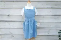 在飛比找Yahoo!奇摩拍賣優惠-兒童圍裙_M/無配件可愛百摺(天藍)_6-10歲_11306