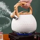 Large Capacity Whistling Kettle 3L Water Kettle Gas Induction Cooker