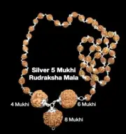 Rudraksha Combination for Advocates 4,6,8 Mukhi Nepal In Silver Mala Certified