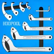 Adjustable Pin Spanner Wrench Set, 9pcs C Spanner Nut Wrench Tools with Chang...