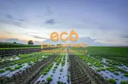 1Mil 2.7ft x 100ft Black Bio-degradable Plastic Mulch Gardening Farming Film