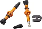 Anneome 1 Pair Bike Valves Stem French Air Nozzle Durable Tubeless Tire Caps for Biking Necessities Smooth Finish Strong Threads for Bike Lovers