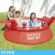 INTEX 螃蟹簡易裝EASY SET游泳池183x51cm(880L)適用3歲+ (26100NP)