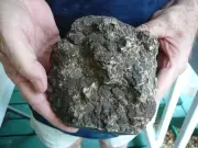 (DF845-3) 6" Fossil REAL DINOSAUR POOP Coprolite Dino Valley Utah DUNG Poo Scat