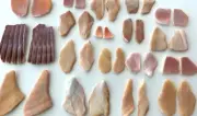 18 Pairs Natural Cockle Clam Shell smooth seashell frags beach jewelry art craft