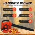 0.65L Oil Tank Handheld Blower 25.4CC Powerful Wind Snow Blower Forestry