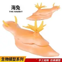 在飛比找蝦皮購物優惠-🧨台灣出貨🧨兒童科氏啟蒙實心仿真海洋動物海兔海蛞蝓海蛞蝓玩具