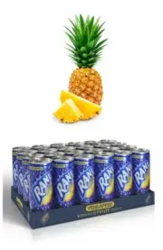 Rani Pineapple Fruit Drink - Pack of 24 - 8oz Cans - عصير الاناناس راني