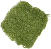 Kisangel Artificial Grass Rug with Drainage Versatile Fake Moss for Decor Weddings Crafts and Terrariums UV Resistant and Low Maintenance Artificial Grass Decoration