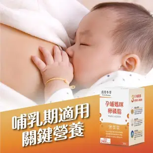 【達摩本草】孕哺媽咪卵磷脂粉包x4盒 (30包/盒)《專利珍珠粉、哺乳期適用》