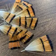12pcs 3-4cm Golden Pheasant Tippet Feathers DIY Craft Fly Tying Fishing