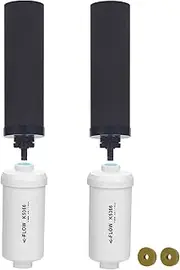 FACHIOO Water Filter Replacement for Berkey®, 2 Carbon Filters and 2 Fluoride Filters Compatible with Berkey® Gravity Water Filter System, Pack of 4