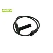 RAE Crankshaft Position Sensor - SC379