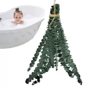 10pcs Eucalyptus Stems Bundles For Shower Eucalyptus Branches Home Bouquet Decor