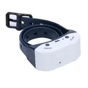 Mist Spray Dog Training Collar