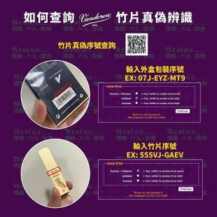 【偉博樂器】台灣總代理公司貨 法國 Vandoren 銀盒 降E調 ( Eb ) 黑管 豎笛 單簧管 V12 簧片 ★非降B調★