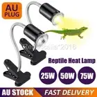 Reptile Heating Light Ceramic Heat E27 Lamp Light Holder Chicken Brooder Turtle