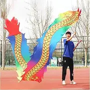 Dragon Dance Silk 3D Colorful Dragon Poi Silk-Like Flowy Spinning & Shaking Poi Flinging The Dragon Spiral Practice Ribbon Streamer with Adjustable Rod + Travel Bag (Size : 8 m/26 FT)