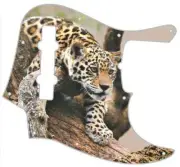 J BASS 5 STRING Graphic Pickguard to fit Fender Bass Guitar Leopard Descending