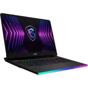 MSI Raider GE77 HX Raider GE77 HX 12UHS-048AU 17.3" Gaming Notebook