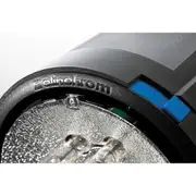 Elinchrom D-Lite RX 4 Head with Protection Cap
