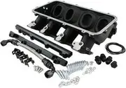 Aeroflow Low Rise EFI GM LS Base Intakemodular Manifold Cathedral Port Black - AF6279-5001