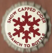 USA Plastic Lined Beer Crown Bottle Cap: Snow Capped Brewing Cider