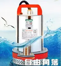 在飛比找樂天市場購物網優惠-抽水機 直流潛水泵12V24V48V60V伏家用電瓶車抽水泵