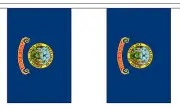 IDAHO U.S. STATE BUNTING 9 metres 30 flags Polyester flag