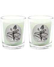 Qualitas Candles Peppermint Leaf Two Scented Beeswax Candle Set