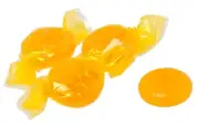 Butterscotch Disc Hard Candy Buttons 10 pounds Wrapped Candies FREE SHIP