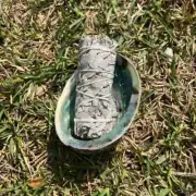 Smudge Kit / Combo of Abalone Shell + White Sage Smudge Stick, 15cm/6inch