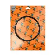 O-Ring for Pump Lid - Suits Onga LTP & PPP, Hurlcon E/CTX/CX/TX/P280/P320 Pumps