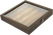 Yardenfun Vintage Butterfly Display Case with Window and Eva Pad Secure Specimen Box for Insects Dried Flowers and Collectibles Capacity Wooden Storage for Entomology Display