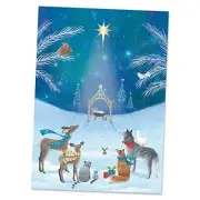 Christmas Greeting Cards Set - Set of 18 Large 5 x 7-Inch Folded God's Gift