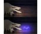 UV Black Light Torch with 51 Leds, Pet Urine Detector for Dried Stains from Y...