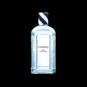 Tommy Hilfiger Tommy Into The Surf EDT