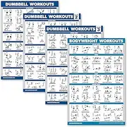 Palace Learning 4 Pack - Dumbbell Workout Posters Volume 1, 2 & 3 + Bodyweight Exercise Chart - Set of 4 Posters (LAMINATED, 18" x 24")