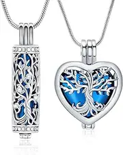 [VCCWYQK] Cremation Jewelry Urn Necklace for Ashes Pendant with Hollow Glass Vial Cylinder Cremation Keepsake Memorial Lockets Ashes Holder for Women Men Pet