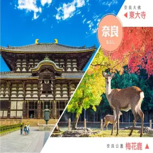 【吉航嚴選】『放暑假玩樂園』東京迪士尼+大阪環球影城櫻桃小丸子奈良萌鹿採果樂溫泉七日-國泰航空