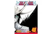Bleach, Vol. 40: Volume 40
