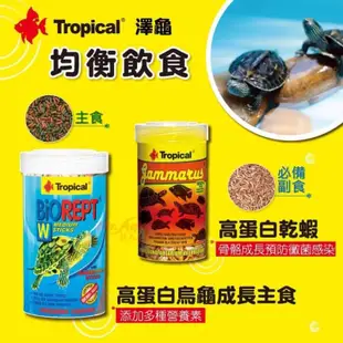 魚苓水族【Tropical】Tropical  德比克 【 新高蛋白烏龜成長飼料1L  】 ( 促進腸道健康 )  烏龜