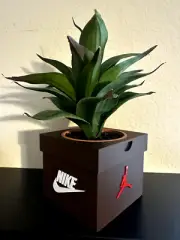 Shoebox Desktop/Shelf Planter Pot - Travis Scott Cactus Jack Mocha Colored Box