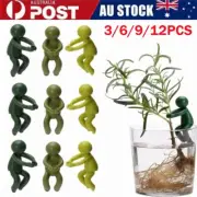 3-12X Plant Propagation Station Buddy Support Holding Stake for Sprouts Stems