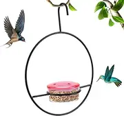 Hummingbird Feeders for Outdoors - Slim Hummingbird Feeder - Decorative Feeding Perch, Ant-Proof, Bee-Proof, Canary Stand for Decoration, Leak-Proof Hanger