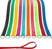 ATICNECH Slip Lead Dog Leash - 10 pcs Colorful 6 FT Short Dog Leashes with O-Ring for Small Large Dogs Puppy Cats Walking Training Running Rescues Grooming Shelter,etc.