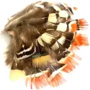 20pcs Amherst Natural Mix 6-7cm Pheasant Feathers DIY Craft Millinery Jewellery
