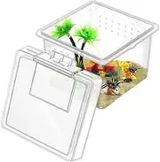 GYWHOOFT 30 Pcs Insect Spider Terrariums Breeding Box, Tarantula Enclosure,Enclosures for Small Reptiles, Centipedes with Lids for Insect & Spider Breeding & Reptile Hatching(6.5 x 6.5 x 4.5 cm)