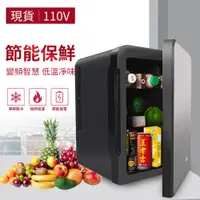 在飛比找PChome24h購物優惠-10L迷你冰箱 車載冰箱110v家用小型冰箱面膜母乳冷藏保溫